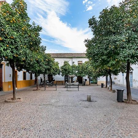 Apartmán Bhost - Regina V Córdoba Exteriér fotografie