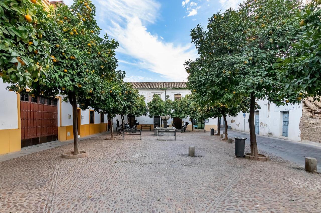 Apartmán Bhost - Regina V Córdoba Exteriér fotografie